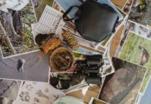 Ботанический сад Алматы презентовал проект «Знать, чтобы любить»