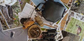 Ботанический сад Алматы презентовал проект «Знать, чтобы любить»