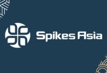 Seed и FCB Artgroup Almaty стали призерами Spikes Asia 2024