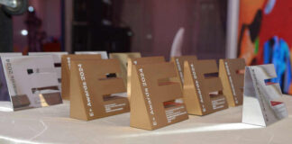 Победители E+ Awards Центральная Азия: зачем участвовать и как победить?