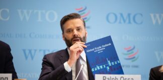 Отчет ВТО: в 2024 году ожидается восстановление мировой торговли