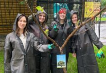 Команда Wunder Digital отметила 7-летие, посадив деревья в сквере Сары-Арка