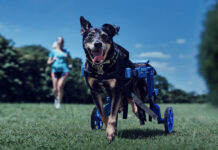 Decathlon и агентство Publicis Brasil запустили кампанию по сбору пластика для 3D-печати протезов