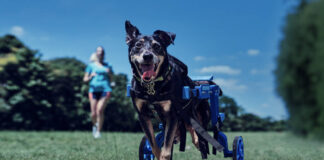 Decathlon и агентство Publicis Brasil запустили кампанию по сбору пластика для 3D-печати протезов