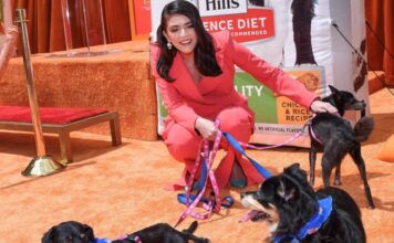 Компании Hill’s Pet Nutrition и SoluPet обратили внимание на проблемы стареющих животных