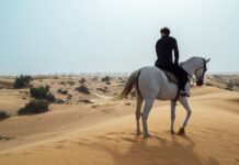 Павел Дуров прибыл в Узбекистан, предположительно, для обсуждения легализации Toncoin