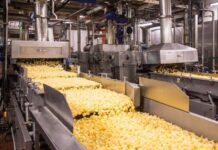 Стало известно, где именно построят завод PepsiCo в Казахстане