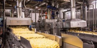 Стало известно, где именно построят завод PepsiCo в Казахстане