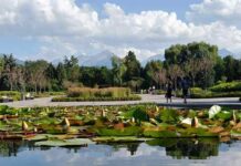 В Ботаническом саду Алматы пройдет масштабный семейный фестиваль Экологии и Инклюзии — InEco Fest 2024