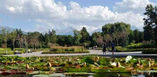 В Ботаническом саду Алматы пройдет масштабный семейный фестиваль Экологии и Инклюзии — InEco Fest 2024