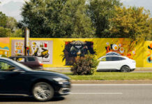 Казахстанские художники и Яндекс Go представили в Алматы стрит-арт выставку