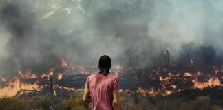 Всемирный фонд дикой природы запустил кампанию, посвященную климатическим рекордам