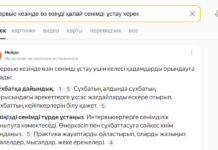 ИИ научился кратко отвечать на запросы от казахстанцев прямо под поисковой строкой в Яндексе