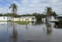 Как рекламные агентства во Флориде пережили ураган Милтон