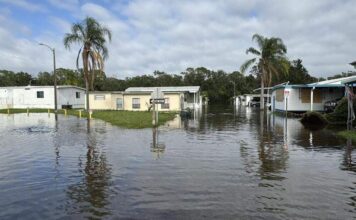 Как рекламные агентства во Флориде пережили ураган Милтон