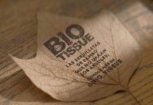 Листья как плакаты: инновационная кампания BIO TISSUE на листьях с деревьев вместо бумаги