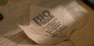 Листья как плакаты: инновационная кампания BIO TISSUE на листьях с деревьев вместо бумаги