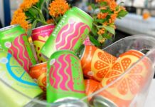 PepsiCo покупает популярный бренд пребиотической газировки Poppi за $1,65 млрд