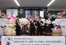 Японский аэропорт переименовали в честь Hello Kitty