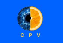 Сейлз-хаус интернет-рекламы TV Media Digital Sail объявляет о возможности закупать видеорекламу по модели CPV