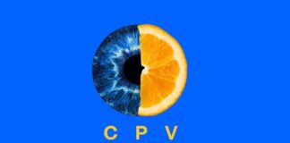 Сейлз-хаус интернет-рекламы TV Media Digital Sail объявляет о возможности закупать видеорекламу по модели CPV