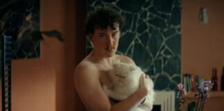 Lynx выпустил уникальный мужской дезодорант, который понравится женщинам и их … кошкам