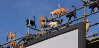 Лондон «захватили» кошки в рамках новой рекламной кампании