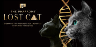 Sheba запускает кампанию, в рамках которой ищет потомков кошек фараонов