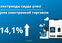 Объем рынка e-commerce в Казахстане превысил 3 трлн тенге: ключевые цифры и тренды 2024 года