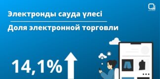 Объем рынка e-commerce в Казахстане превысил 3 трлн тенге: ключевые цифры и тренды 2024 года