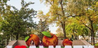 В Алматы представлен первый официальный гастрогид города