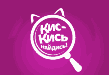 В Казахстане заработал сервис «Кис-Кись, найдись!»: объявления о пропавших питомцах покажут на билбордах и в супермаркетах