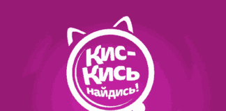 В Казахстане заработал сервис «Кис-Кись, найдись!»: объявления о пропавших питомцах покажут на билбордах и в супермаркетах