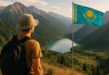 Исследование Яндекса: только 36% пользователей видели медийную рекламу в секторе путешествий