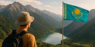 Исследование Яндекса: только 36% пользователей видели медийную рекламу в секторе путешествий