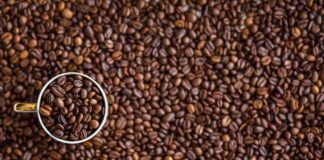 Запуск производства MacCoffee в Хоргосе намечен на конец 2025 года