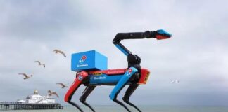 Domidog против чаек: Domino’s тестирует робота-доставщика на пляжах