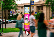 «Кис-Кись, найдись!»: как городской цифровой ландшафт помогает находить пропавших питомцев