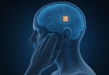 Neuralink начнет испытания чипа для преобразования мыслей в текст