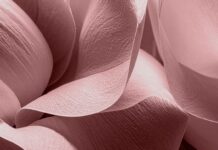 Pantone представил палитру весна–лето 2026