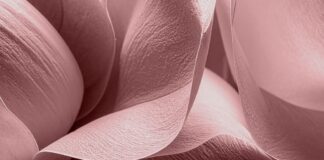 Pantone представил палитру весна–лето 2026