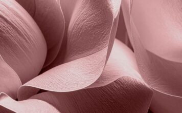 Pantone представил палитру весна–лето 2026