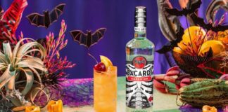 Bacardi подготовился к Хэллоуину с размахом: светящиеся бутылки, цифровые привидения и шоу на Las Vegas Sphere