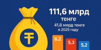 OpenAI, Temu и другие интернет-платформы заплатили Казахстану 111,6 млрд тенге НДС