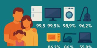 Средний размер семьи в Казахстане снижается, но оснащенность техникой растёт