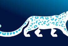 Снежный барс официально стал национальным символом Кыргызстана