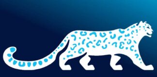 Снежный барс официально стал национальным символом Кыргызстана