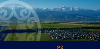 Эффект TikTok: первое исследование о влиянии платформы на малый и средний бизнес в Казахстане