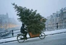 Когда ИИ не сработал: McDonald’s отказался от рождественского ролика