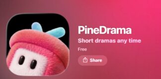 TikTok запустил «Netflix для зумеров» – новый сервис PineDrama